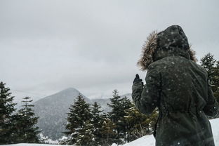 重庆40度高温天气与下雪现象的神秘交织