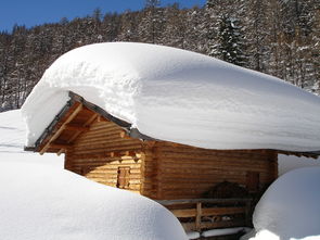 东北局地的雪要下到发紫，一场罕见的雪灾及其应对策略