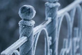 山东多地迎来今冬第一场雪，如何应对寒潮与享受雪景的实用指南