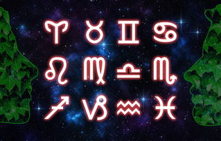 246天天天彩天好彩资料大全118-不三不四打一生肖与数字：V47.00.42