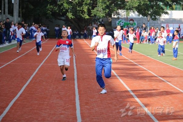 福建西山学校第十一届小学生运动会4×100米接力赛