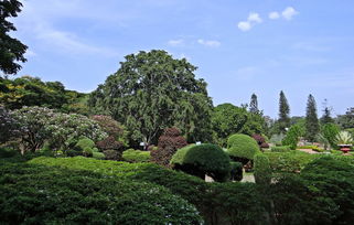 肇庆市四会市农场路御景台花园(大旺公园对面)