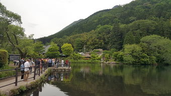 凤凰游玩十大省钱攻略必看｜旅游走天下