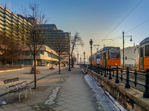 广西壮族自治区南宁市青秀区民族大道141号