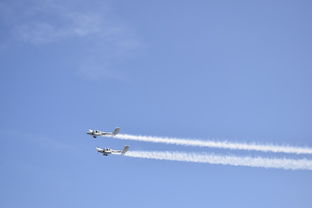 阿航空难，客机遭地面攻击悲剧的探究